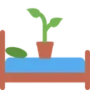 plantbed