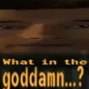 whatinthegoddamn