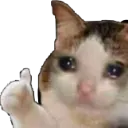 cat_thumbsup