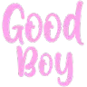 goodboy