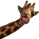 SnaroltheGiaraffe