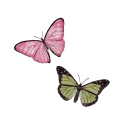 pinkgreen