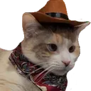 catcowboy