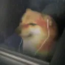 emoji_19 emoji_19