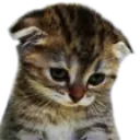 emoji_23