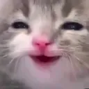 happykitty