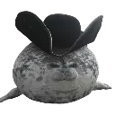 PirateSeal