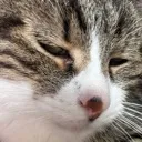 sideeye