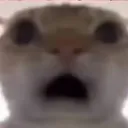 download4 download4