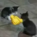 handshake handshake