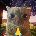 plz