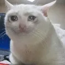 SadCat