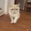 uuhArrive