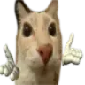 otagshrug