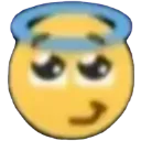 halocute
