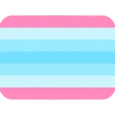 4581transmascflag