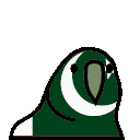 A green and white parrot bobbing its head rhythmically in a repeating animation.