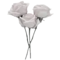 el_coreflowers