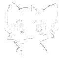 transparent_meow