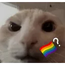 question
