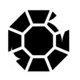 rs_symbol