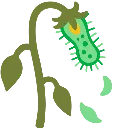 b_wilted_microbe