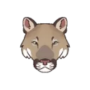 cougar