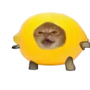 lemon