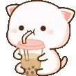 091_cat_bubbletea