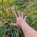 touch_grass