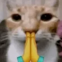 catprayer