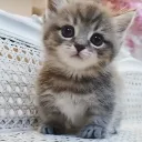 bby_innocent_doraemon