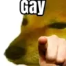 gay