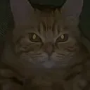 Capturedcran20250315183924