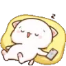 Hackcat_sleep