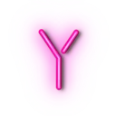 PINK_Y