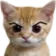 Angry_kitty_dotgg_femz Angry_kitty_dotgg_femz