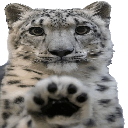 MS_FutureSaludo Discord emoji