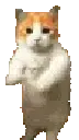 CatDance