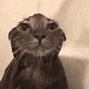 soggy