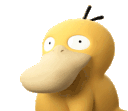766697psyduckhuh