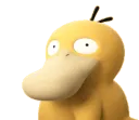 766697psyduckhuh