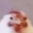 emoji_16 Discord sticker from CAFÉ ☕