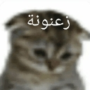 emoji_19 Discord sticker from CAFÉ ☕