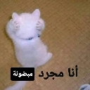 emoji_36 custom emote from CAFÉ ☕