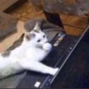 emoji_40 Discord Emoji | CAFÉ ☕