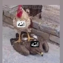 emoji_40 custom emote from CAFÉ ☕