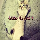 emoji_40 Discord sticker - CAFÉ ☕