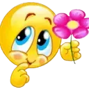 flower_blush flower_blush