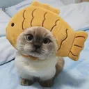 catfish